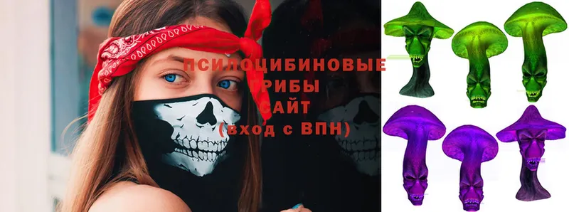 Галлюциногенные грибы ЛСД  OMG ССЫЛКА  Вихоревка 