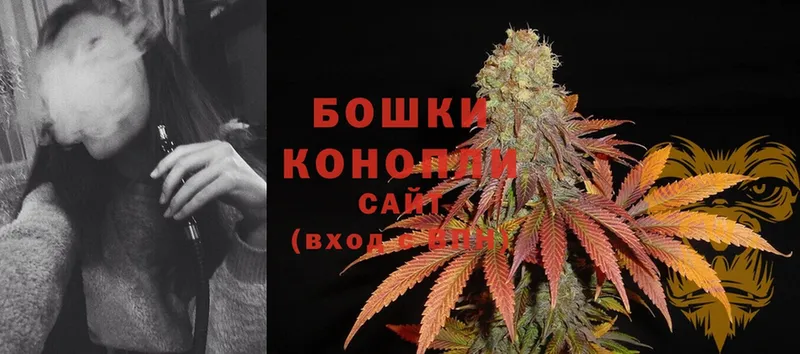 Шишки марихуана White Widow  KRAKEN ONION  Вихоревка 